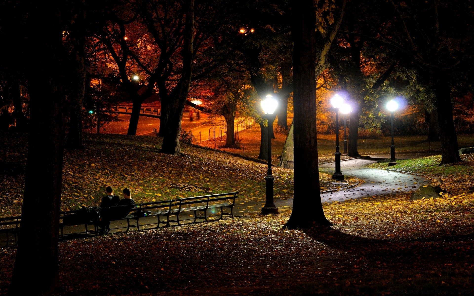 other city light tree street road shadow alley landscape park fall bench city dawn