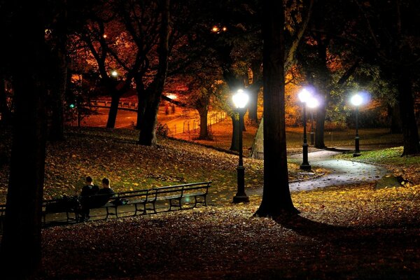 Parc à la lumière des lanternes et banc