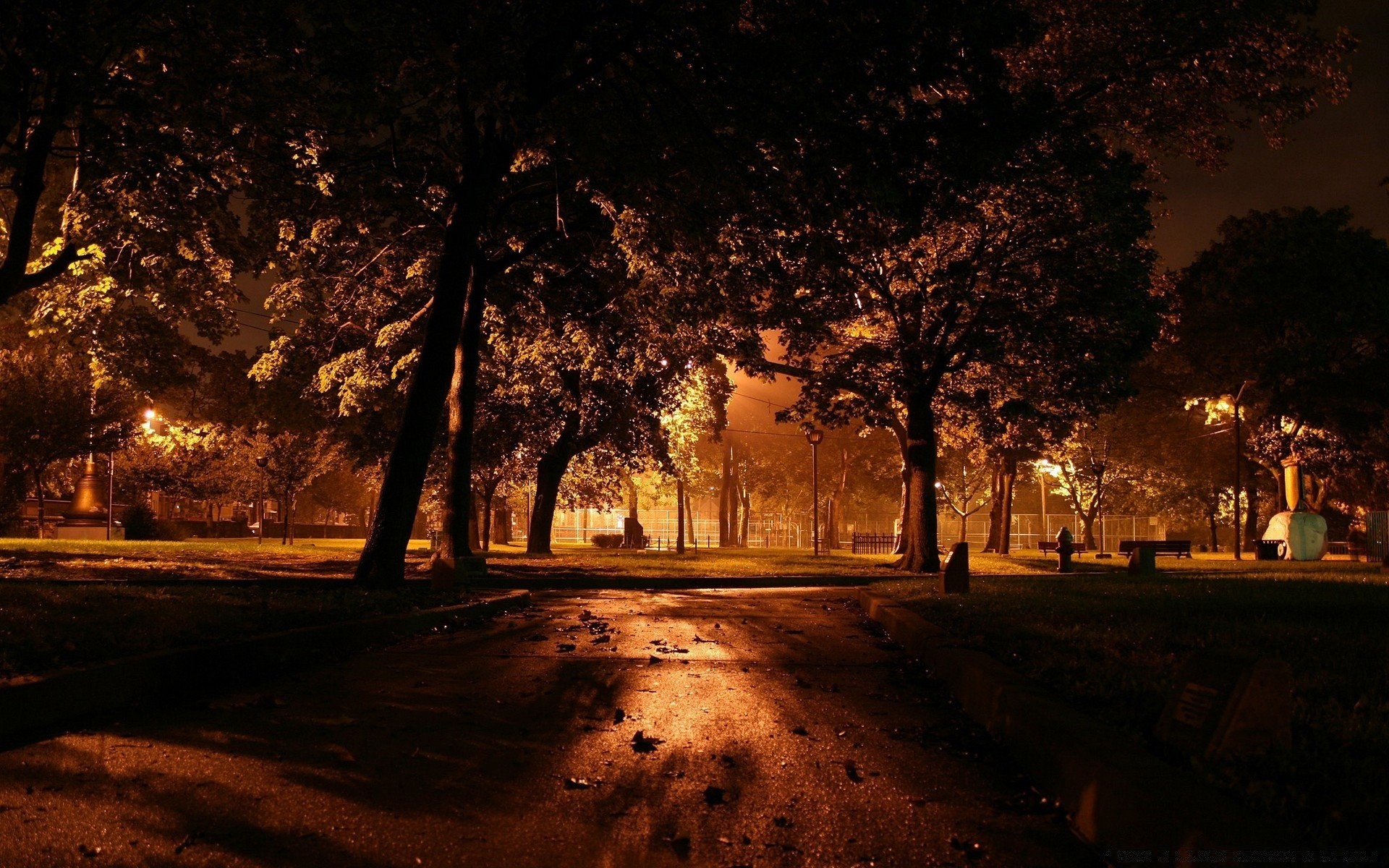 otras ciudades árbol luz amanecer carretera calle otoño niebla paisaje puesta de sol oscuro niebla