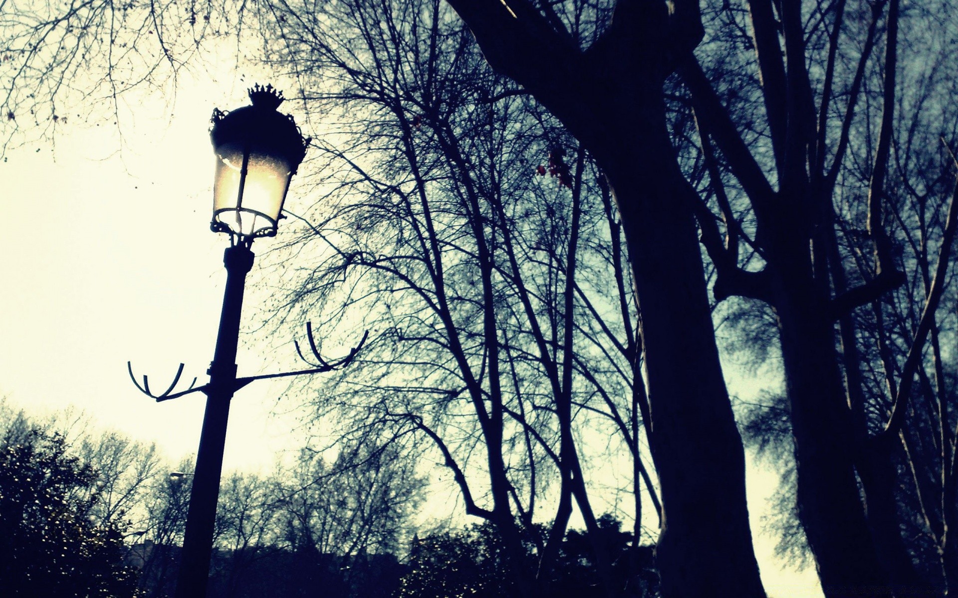 otras ciudades árbol madera naturaleza otoño amanecer paisaje rama al aire libre luz parque silueta invierno iluminado niebla