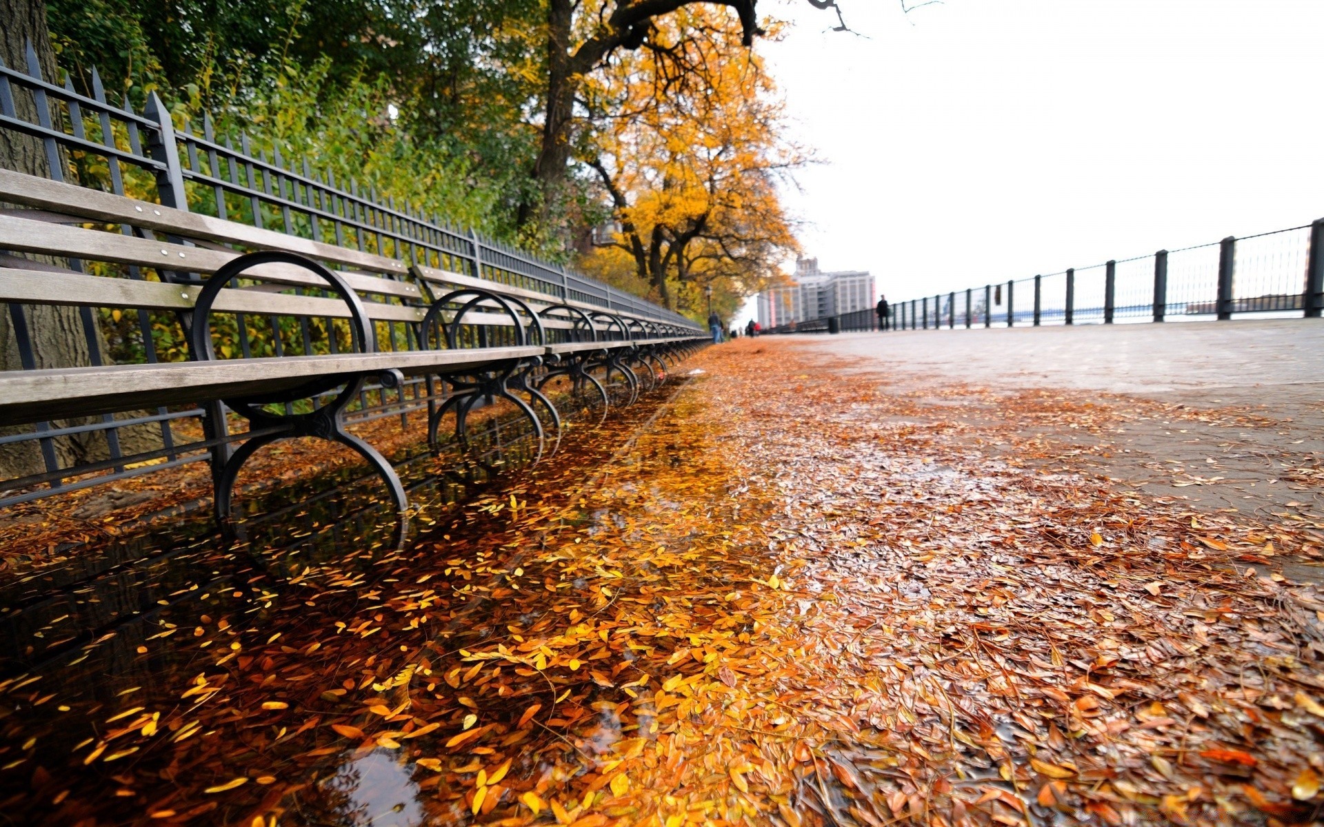 otras ciudades otoño naturaleza madera carretera temporada hoja árbol guía parque puente paisaje al aire libre color agua luz medio ambiente viajes escénico