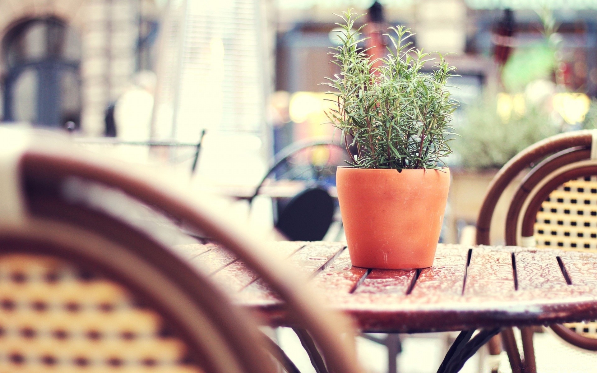 other city table restaurant indoors furniture travel seat chair food patio outdoors blur drink vacation traditional wood coffee relaxation tea