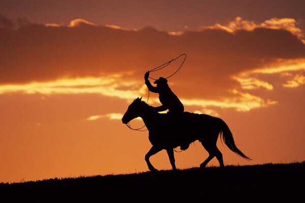 Sagoma di un cavaliere con un lazo al tramonto