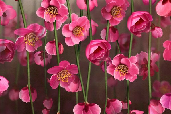 Die Natur hat uns schöne Blumen geschenkt