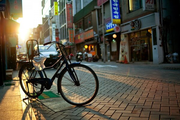 City hustle or abandoned bike