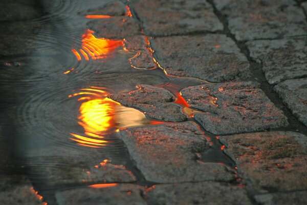 Reflexão do pôr do sol em uma poça