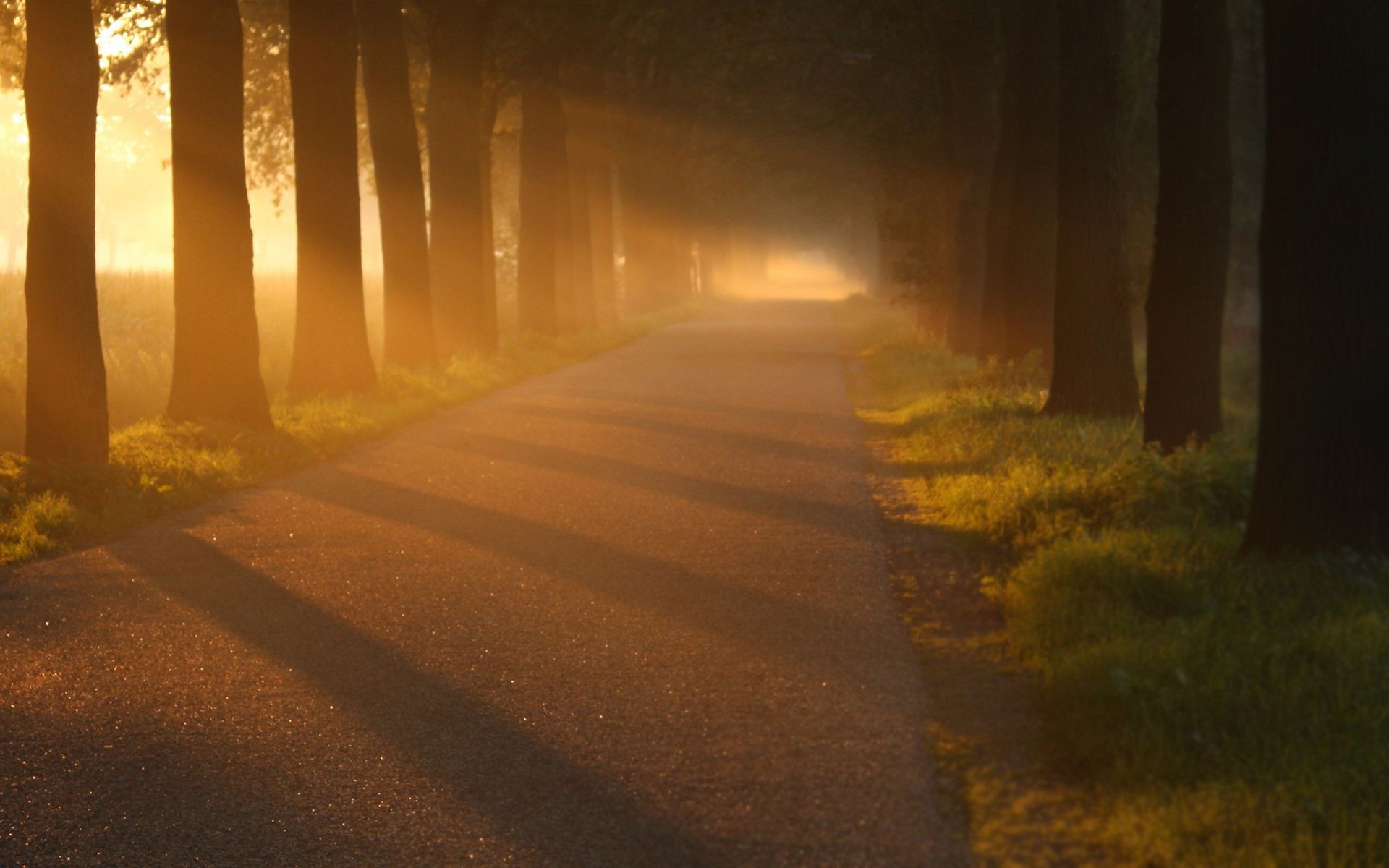 luce solare e raggi luce paesaggio alba strada tramonto sera illuminato strada nebbia ombra sfocatura viaggi sole