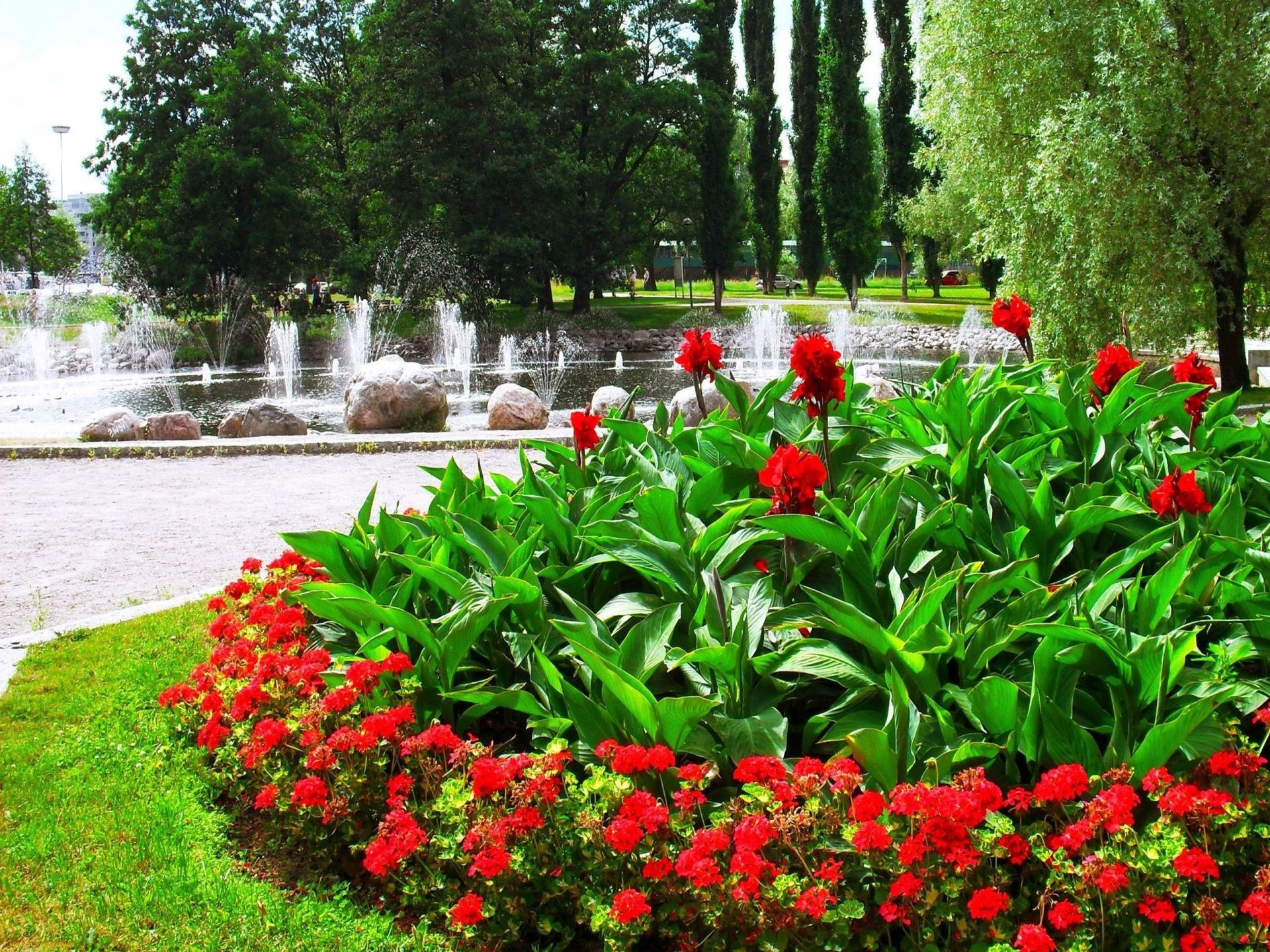 árvores flor jardim tulipa flora natureza parque folha verão temporada blooming árvore floral cor pétala grama gramado paisagem ao ar livre botânico