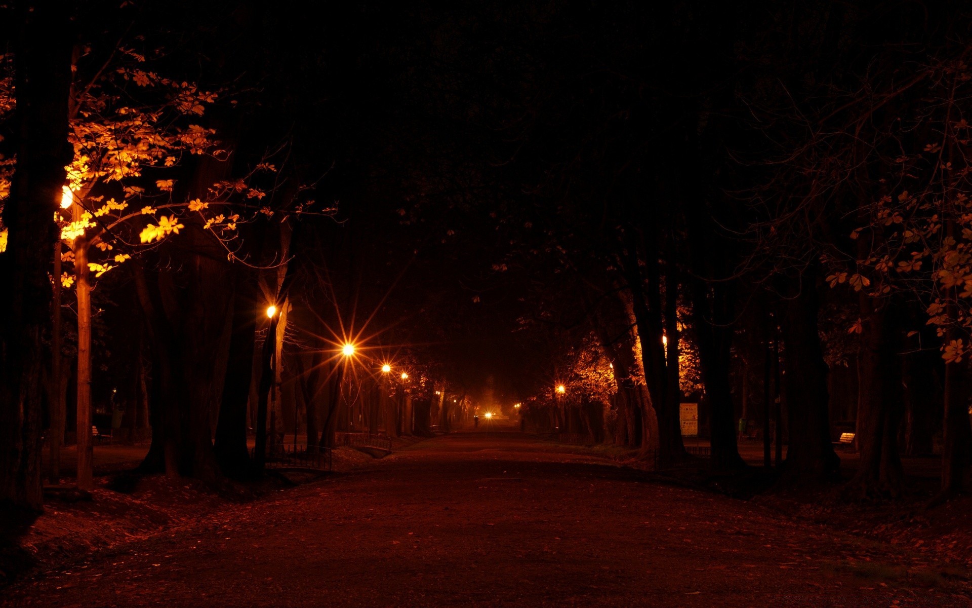 autres villes lumière flamme paysage soir arbre sombre silhouette