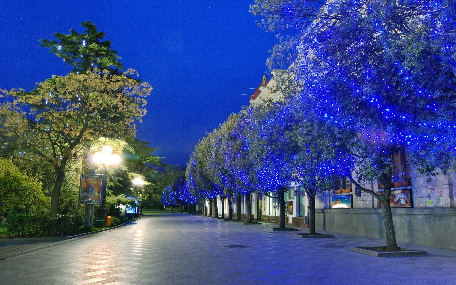 autres villes arbre voyage à l extérieur paysage ciel nature lumière parc