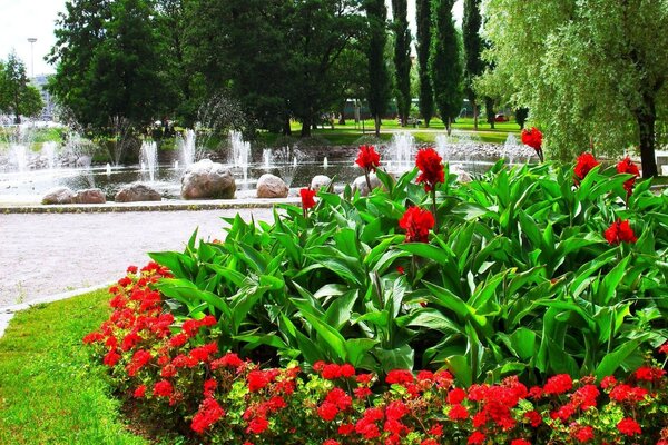 Flores e fonte em um belo jardim