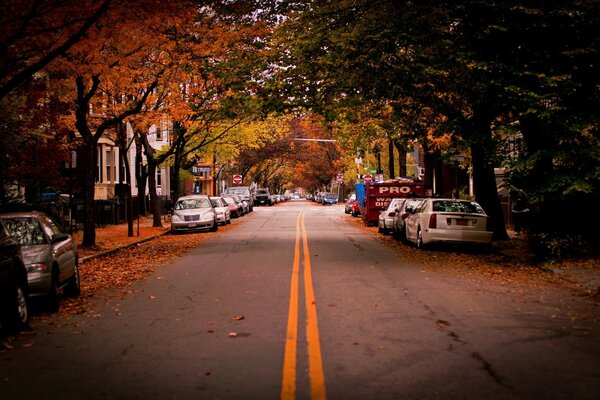 Autumn Street con auto parcheggiate