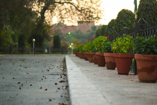 Um beco deserto em um belo parque