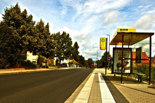 Parada de autobús del desierto cerca del bosque