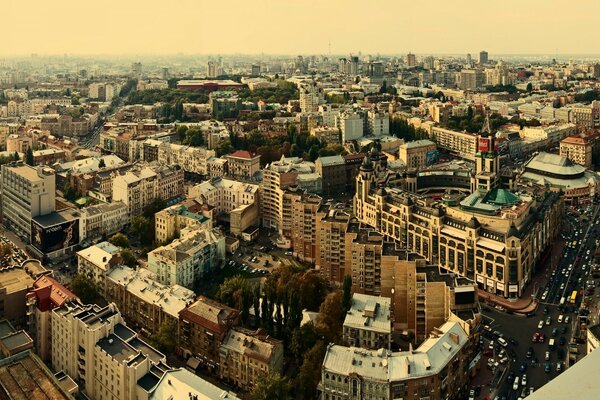 A bird s-eye view of the city