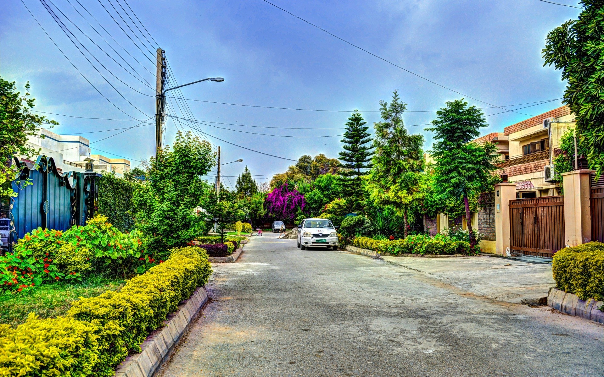 other city house garden architecture family flower summer street building nature outdoors travel