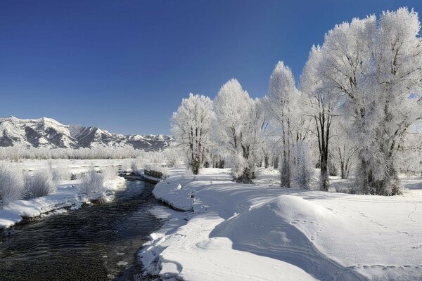 Fluss im zeitigen Frühjahr in einem verschneiten Wald