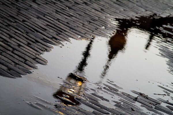 Reflejo de una linterna en un charco sobre adoquines