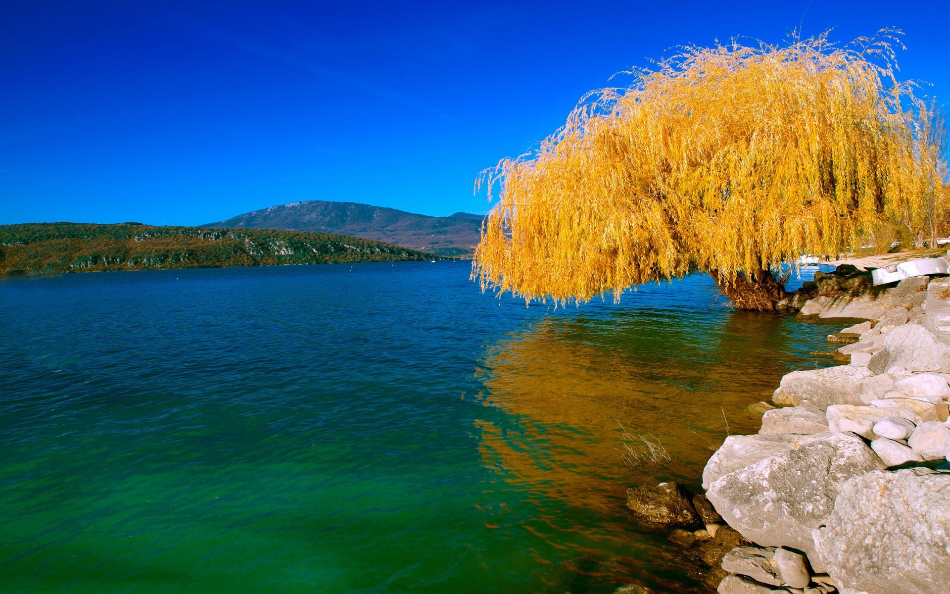 bäume wasser natur landschaft himmel reisen see landschaftlich im freien holz gutes wetter sommer baum reflexion