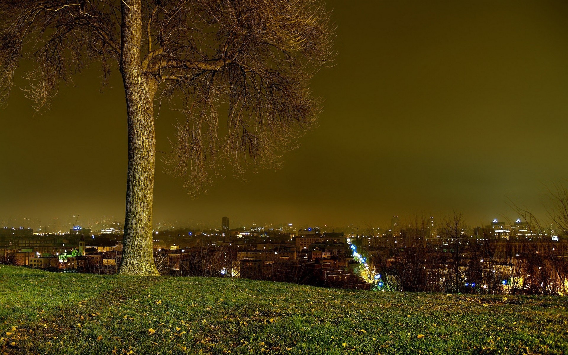 otras ciudades árbol puesta de sol amanecer noche paisaje luz niebla al aire libre viajes otoño sol naturaleza crepúsculo ciudad