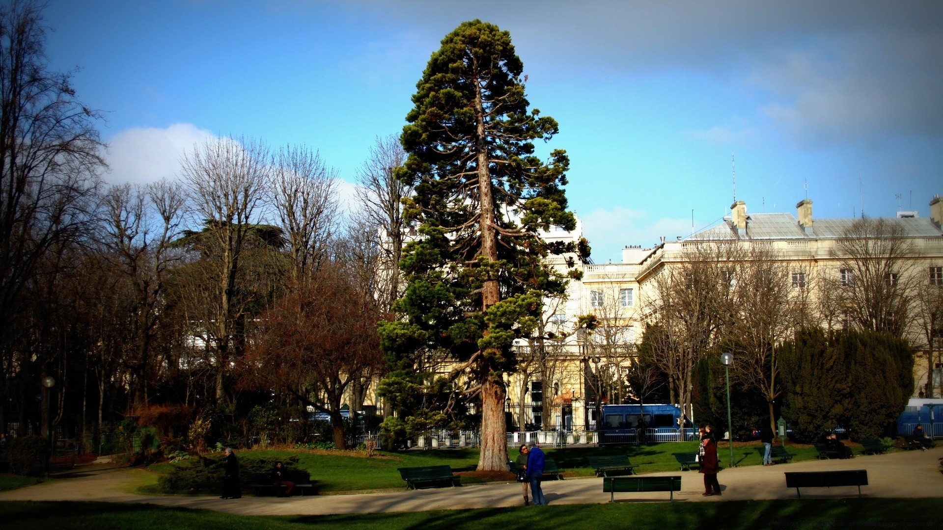 inne miasta drzewo na zewnątrz architektura podróże niebo park miasto dom krajobraz