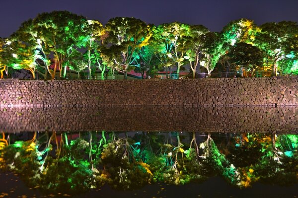 Terraplén agua bosque árboles