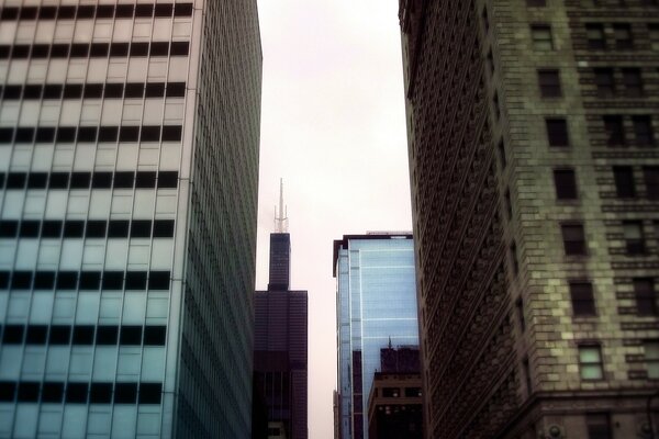 Architecture of a skyscraper office in the city