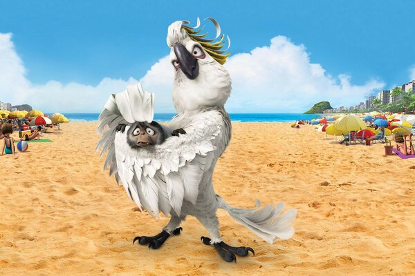 Beach and sand. Parrot with a sloth