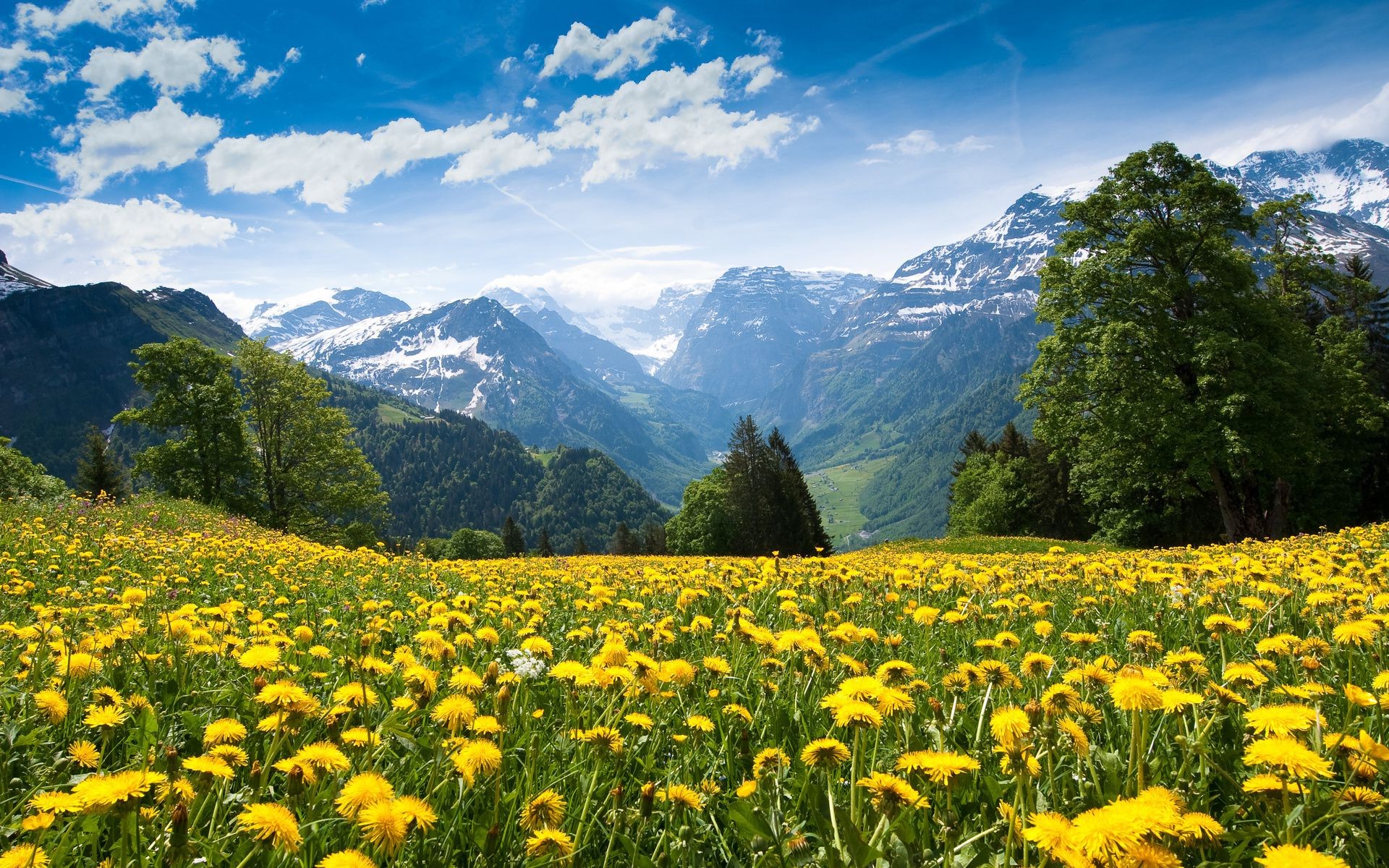 champs prairies et vallées paysage montagnes foin nature scénique à l extérieur été herbe ciel scène rural champ pays spectacle voyage environnement paysage pâturage beau temps