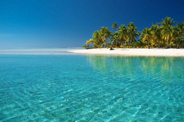 Tropical landscape. An island in the sea