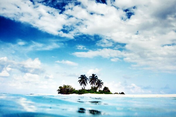 岛上的天空棕榈树的美丽景色