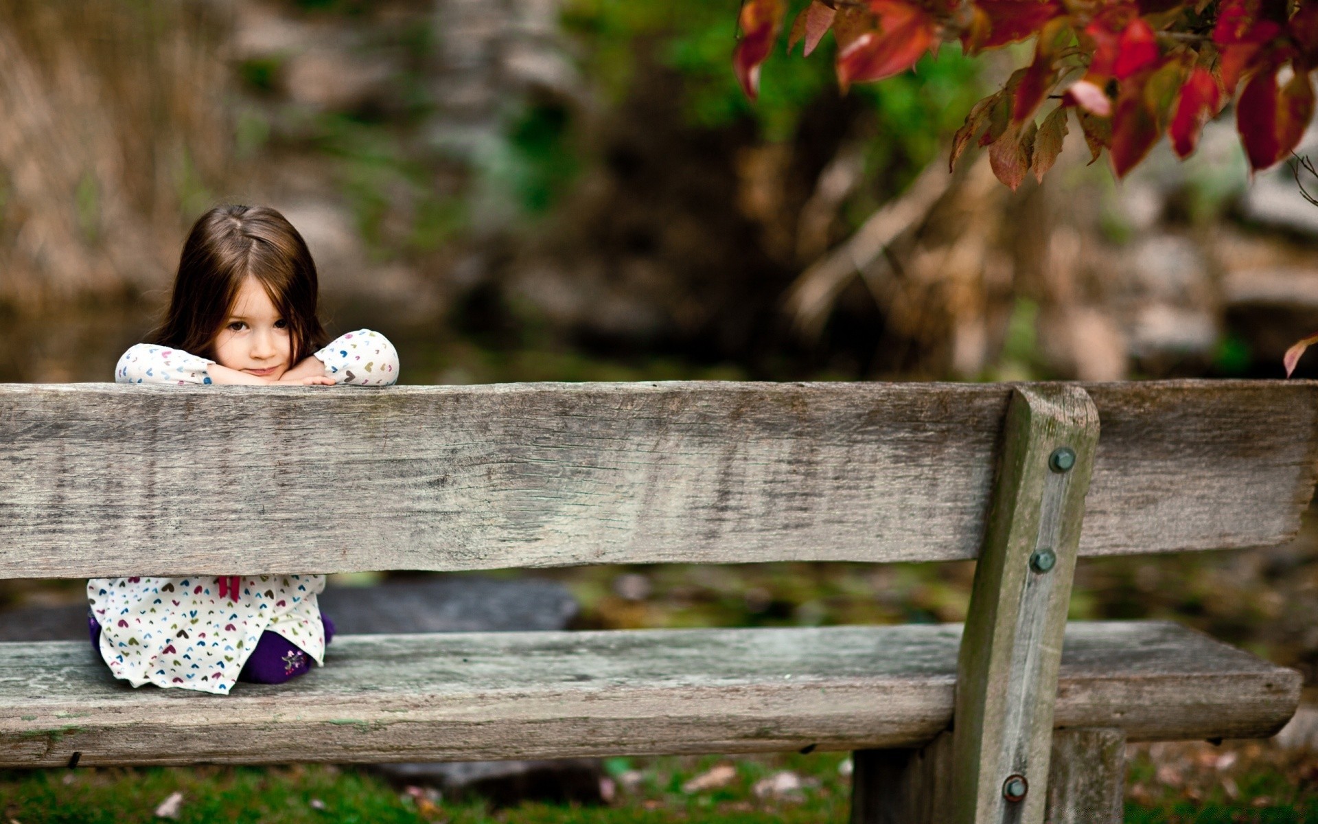 enfants bois nature à l extérieur arbre parc feuille jardin en bois automne été herbe loisirs enfant fleur fille