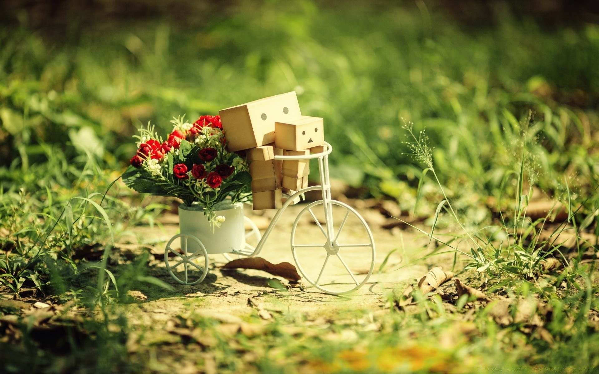 romantik natur gras blume garten sommer feld blatt holz flora im freien park baum unschärfe