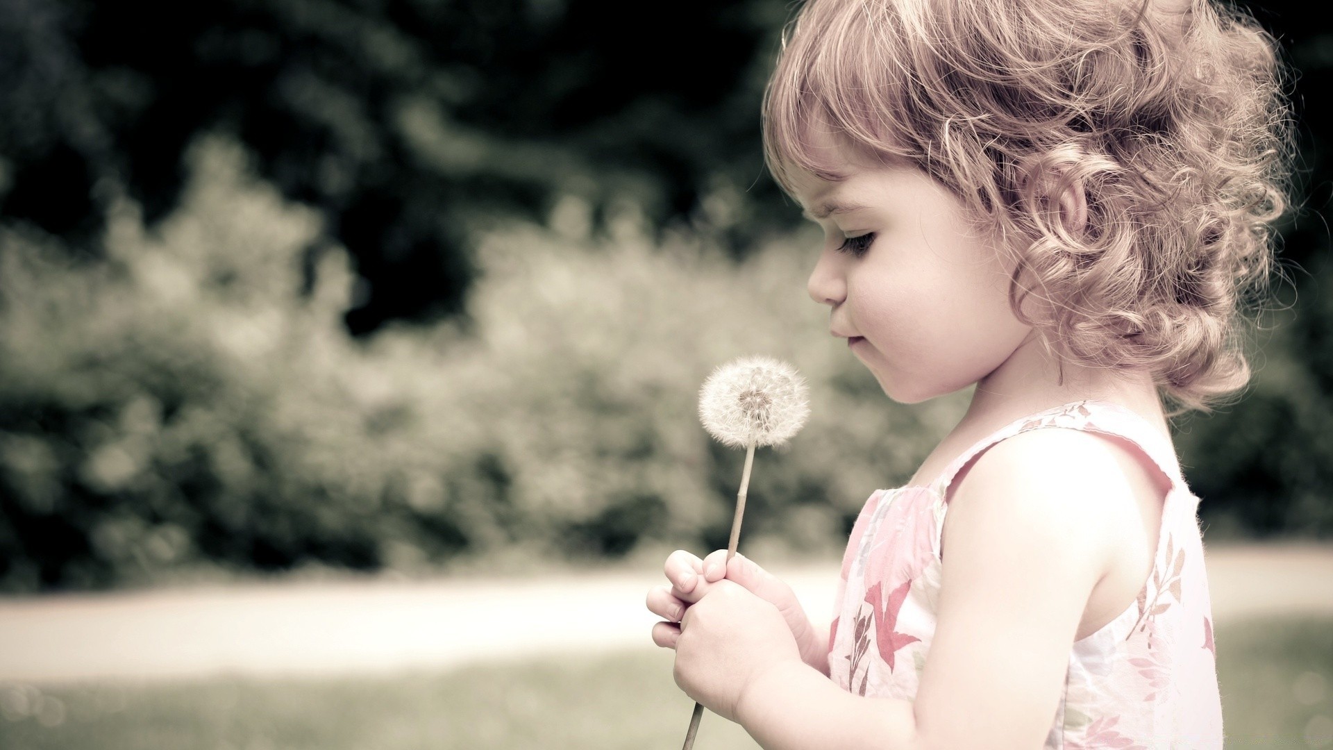 bambini bambino poco estate carino divertimento natura ragazza erba all aperto bambino innocenza parco bella ritratto