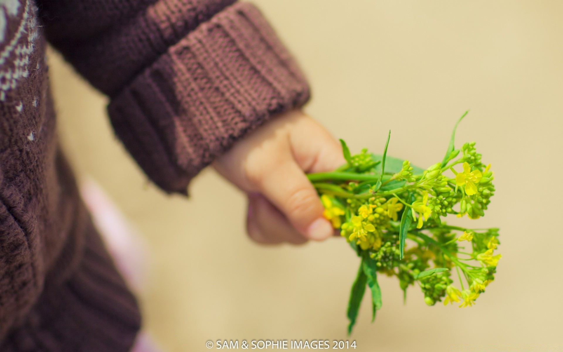 enfants nature feuille femme