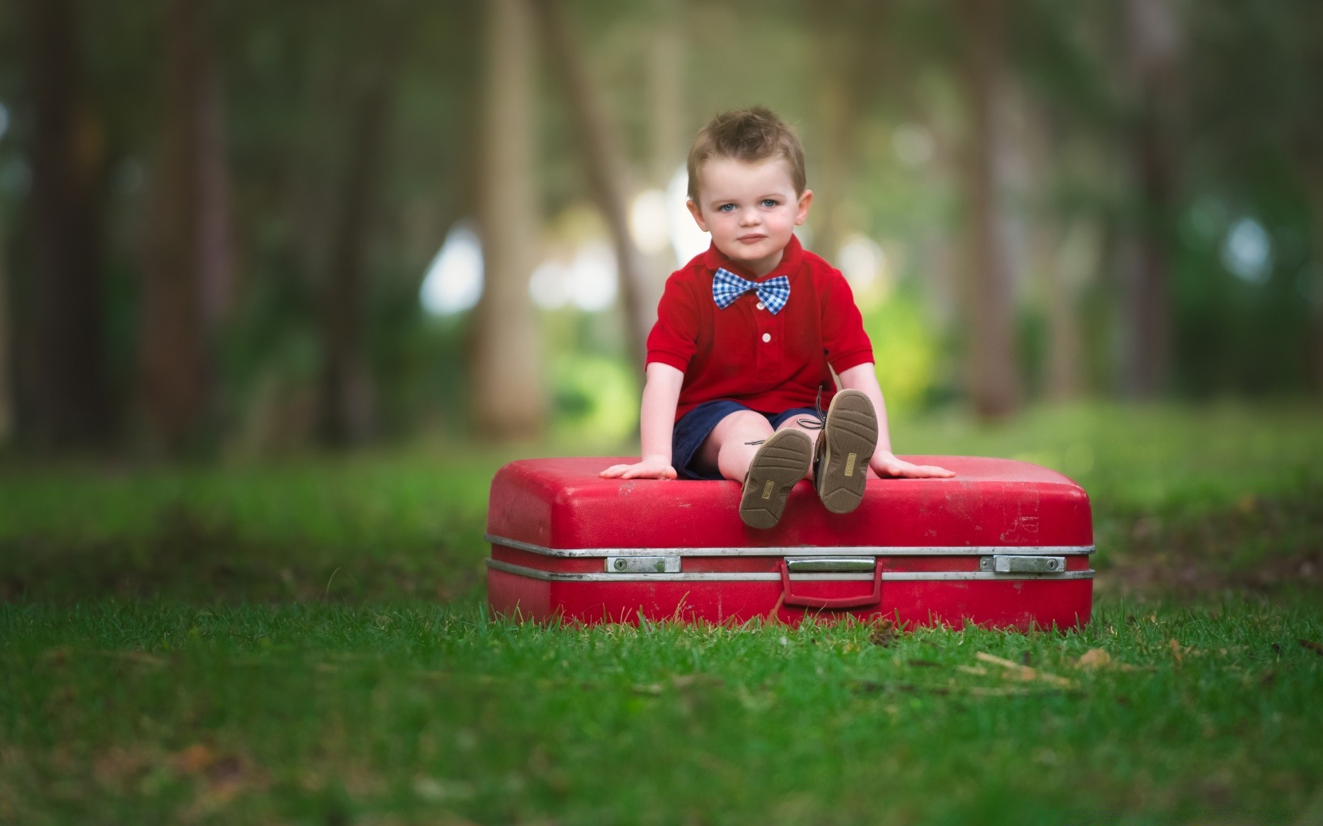 enfants enfant herbe à l extérieur plaisir été parc peu mignon loisirs garçon seul loisirs nature s asseoir