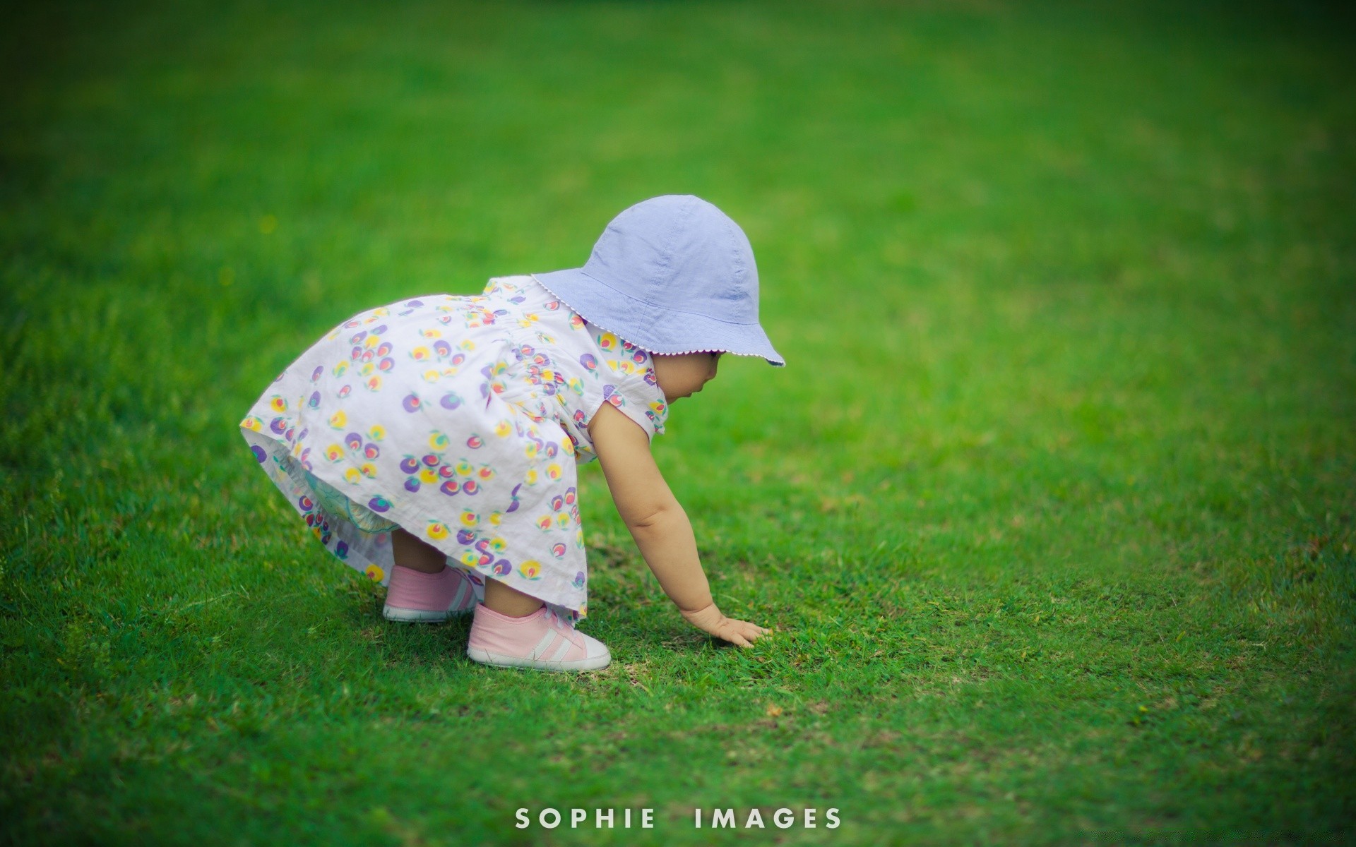 bambini erba prato bambino all aperto natura estate tempo libero poco campo divertimento fieno parco carino