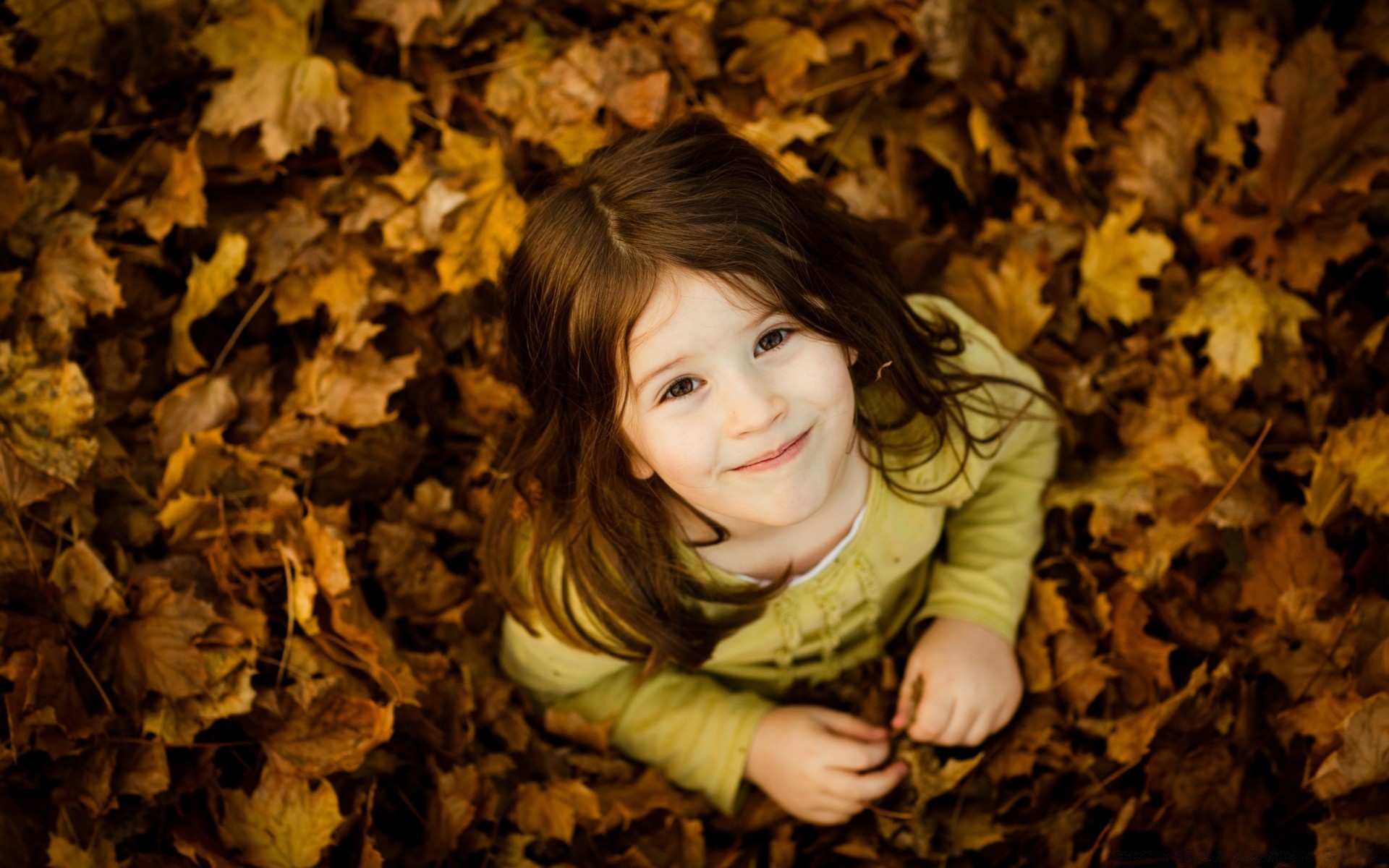 children fall girl nature leaf wood maple park beautiful portrait one face tree fashion cute light outdoors model smile