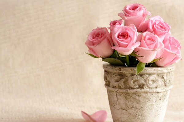 Florero de la naturaleza muerta con las rosas Rosadas