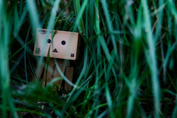 The robot spies on people from the grass