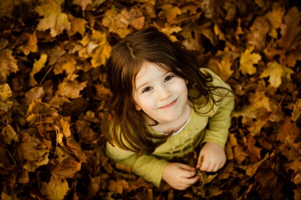 Relenok auf dem Hintergrund der Herbstblätter