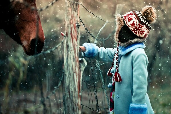 Fille veut caresser un cheval