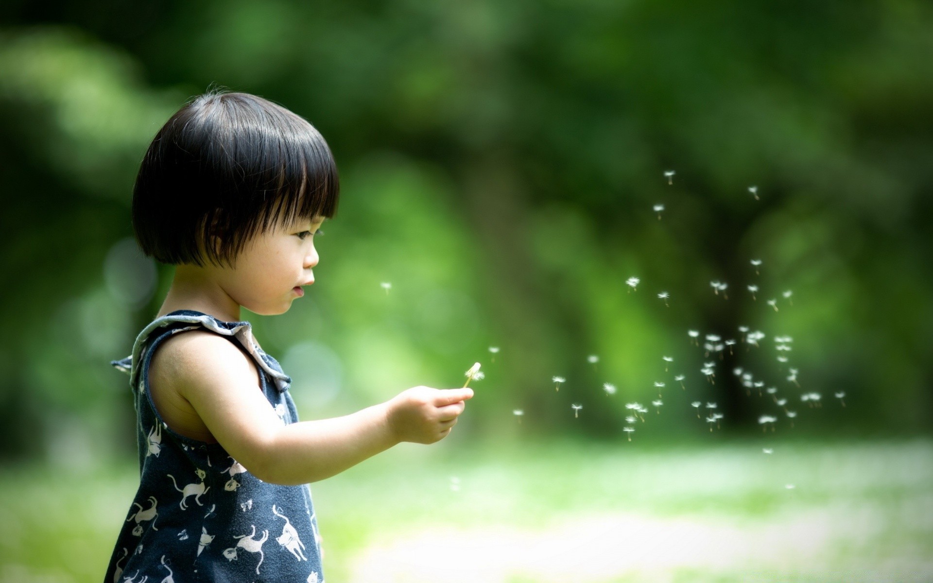 kinder kind natur sommer im freien gras mädchen park niedlich wenig vergnügen kind porträt vergnügen ein gutes wetter