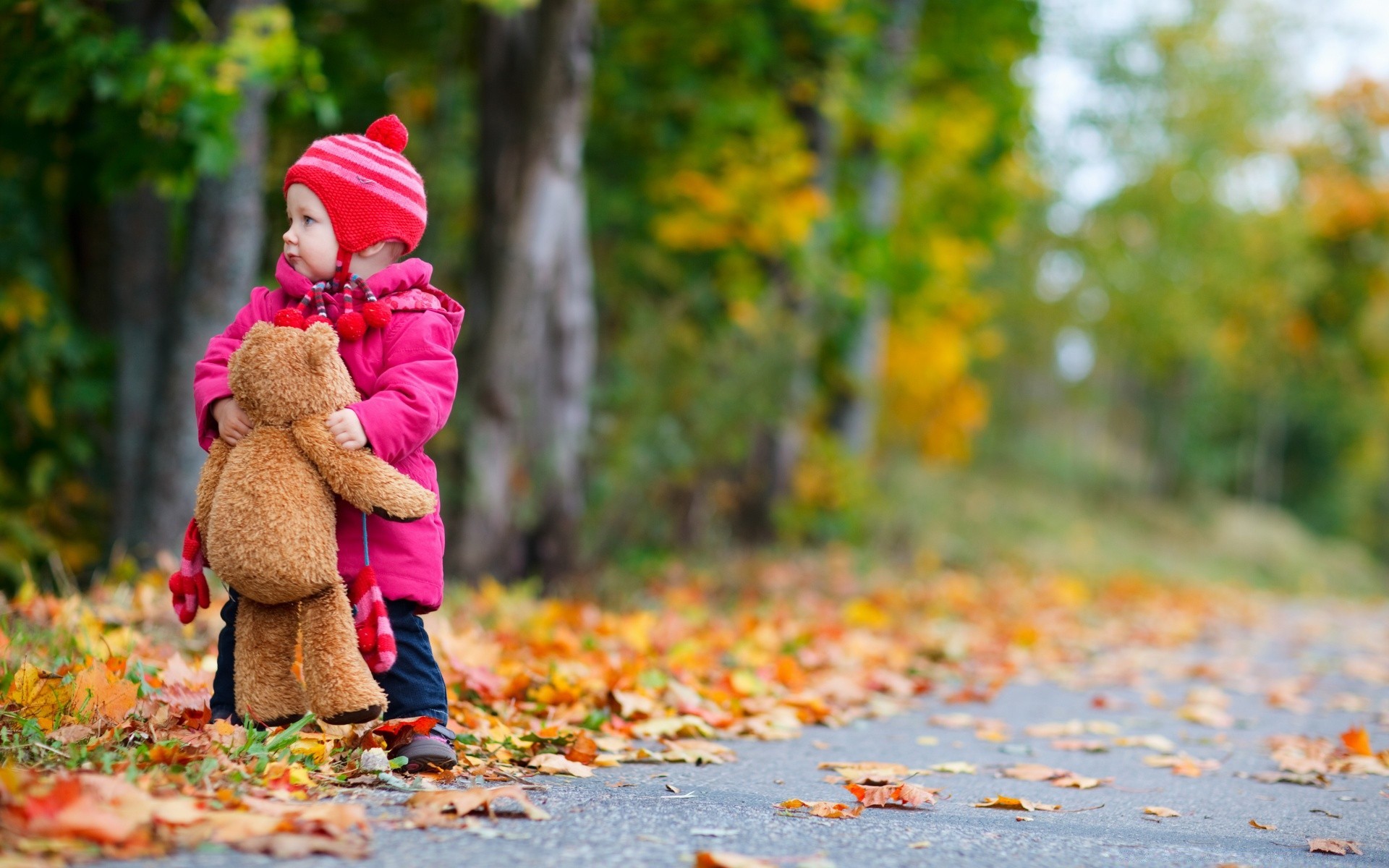 enfants automne feuille nature parc à l extérieur fille érable bois bois