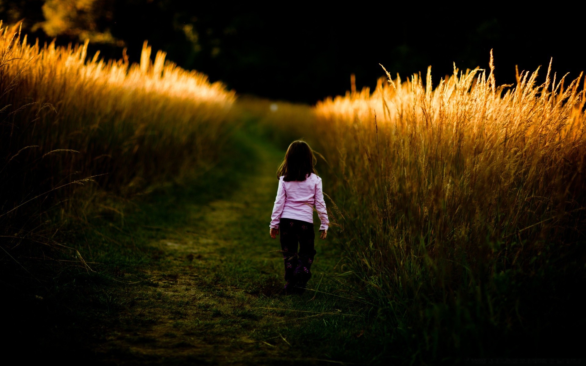 romance sunset grass nature girl landscape dawn light sun evening outdoors fall field woman