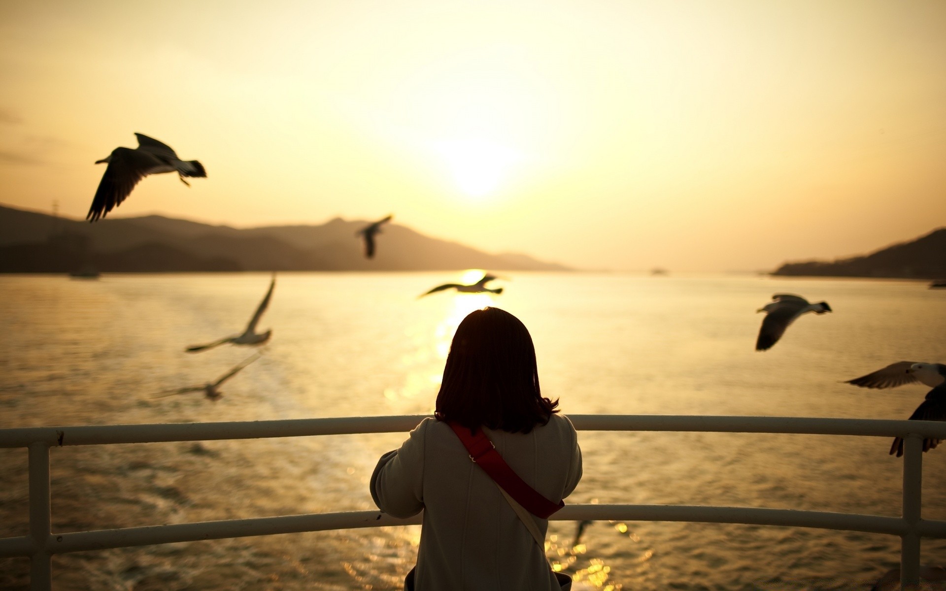 romance coucher de soleil plage aube eau soleil mer océan rétro-éclairé soir silhouette crépuscule mer sable paysage ciel oiseau réflexion fille