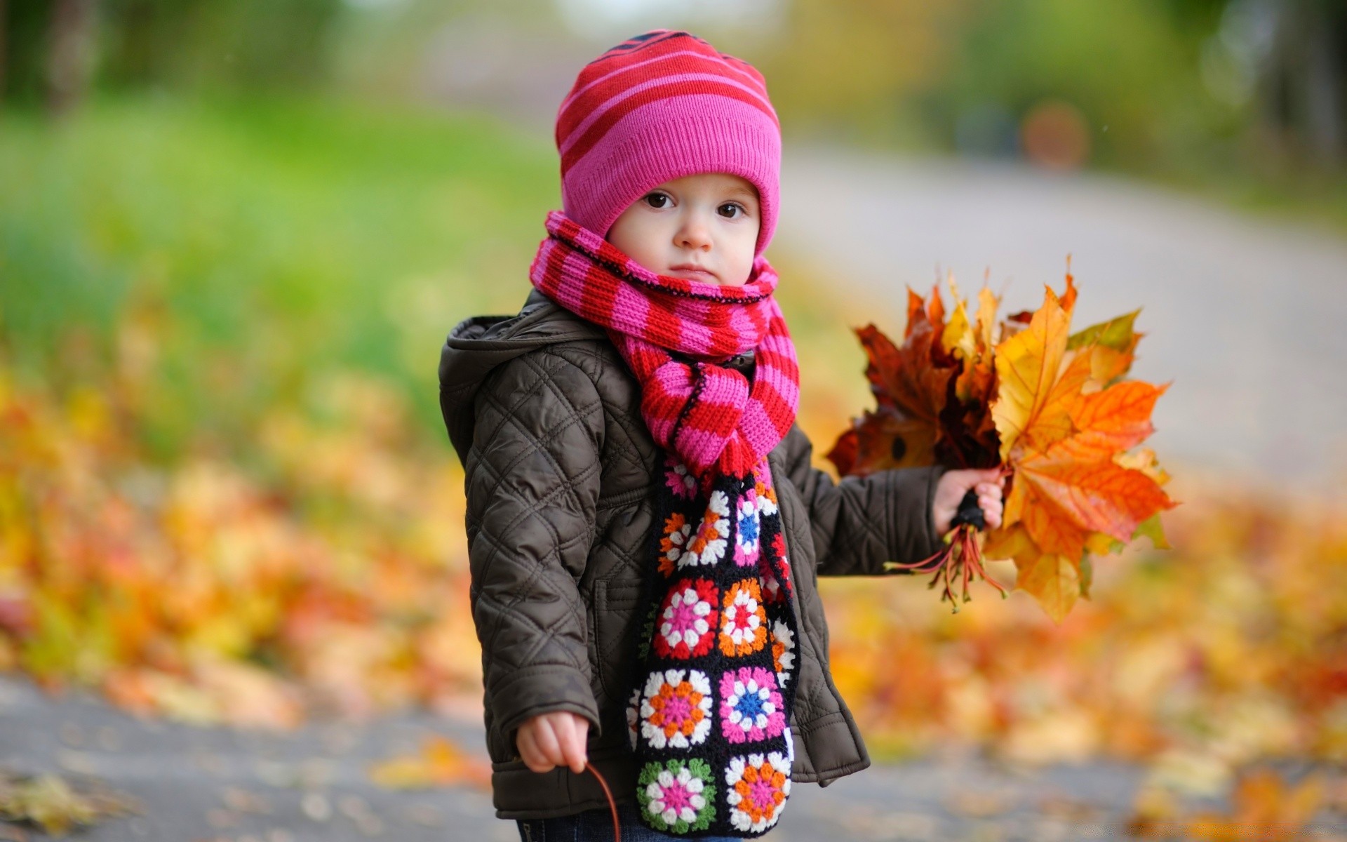 kinder herbst kind im freien park natur ahorn wenig blatt vergnügen saison kind mädchen