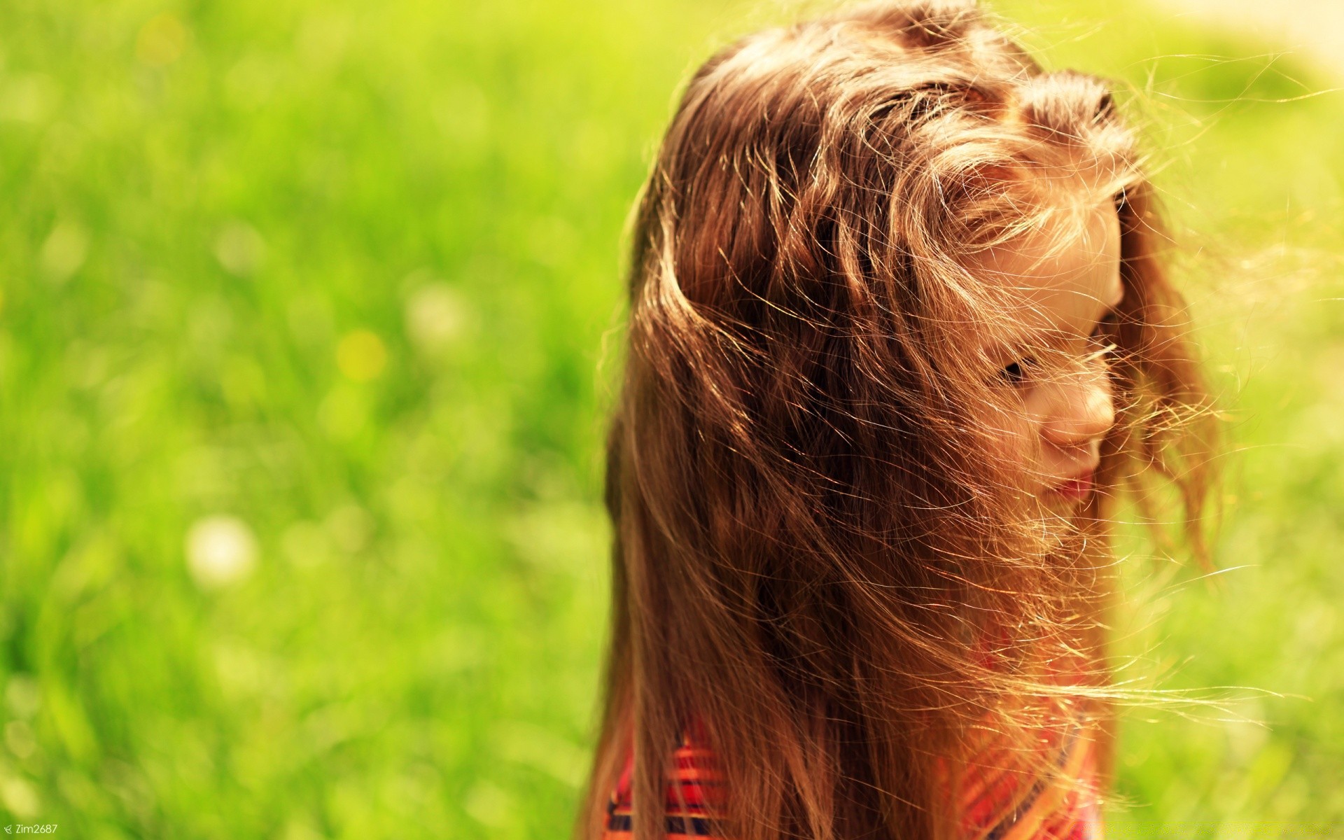 niños naturaleza hierba pelo verano retrato heno campo joven lindo al aire libre sol pequeño hermoso