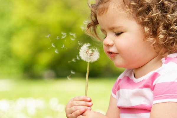 Little girl blowing on dandelions