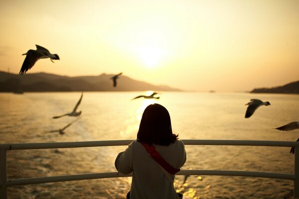 Romantic sunset with flying birds